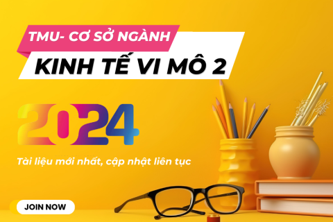 Kinh tế vi mô 2