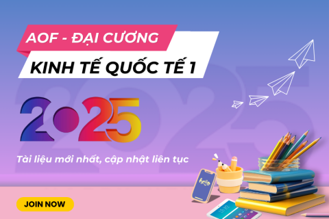 AOF - Kinh tế quốc tế 1