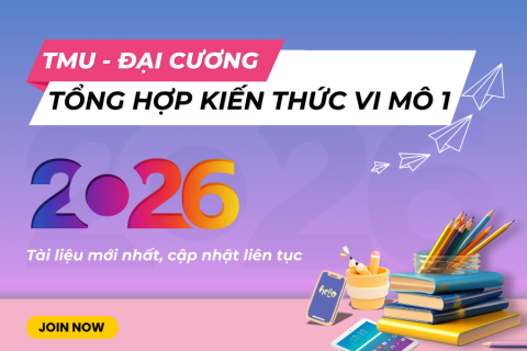 TMU - Tổng hợp kiến thức Kinh tế vi mô 1