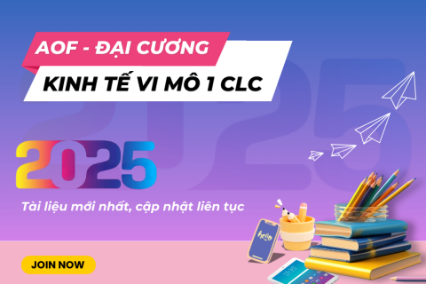 AOF - Kinh tế vi mô CLC