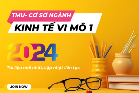 TMU Kinh tế vi mô 1